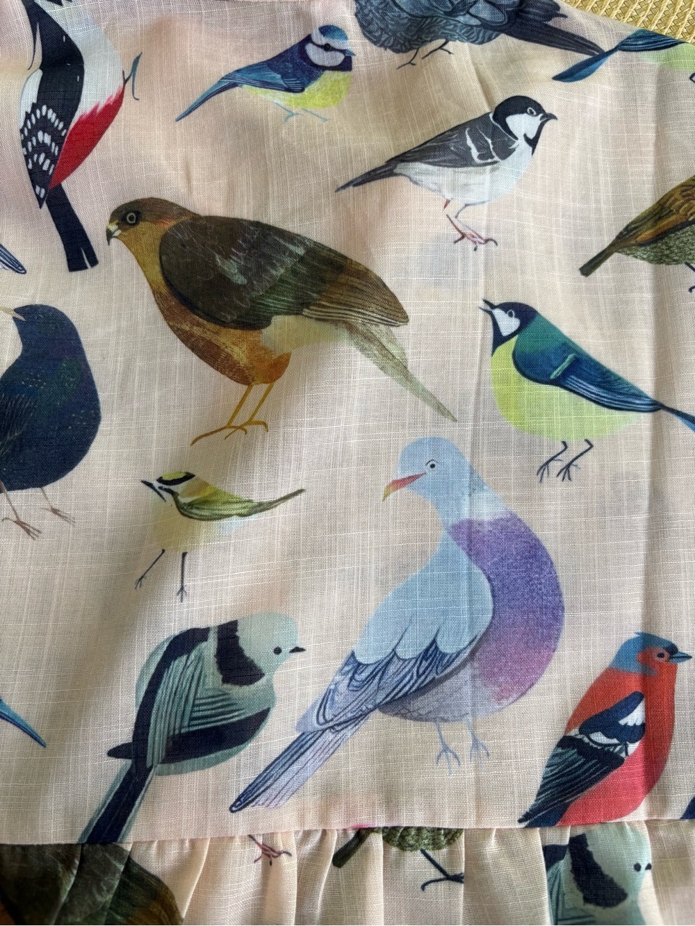 For Bird Lovers! Super Fun Women’s Beige Bird-Print Button-Up Shirt, Medium - Picture 4 of 16